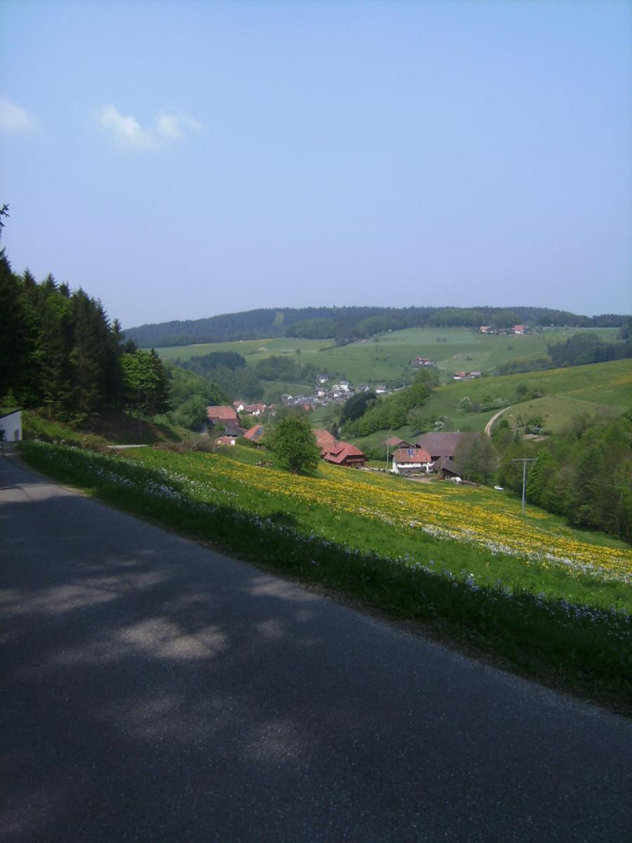 Gasthof Krone Schuttertal 외부 사진
